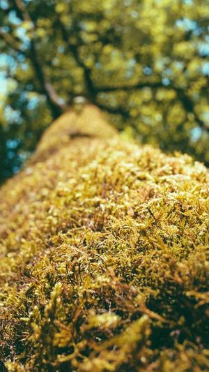 如何辨别真假蜘蛛池截图2