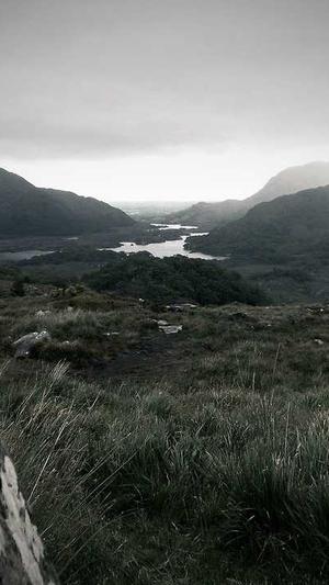 google seo工具截图4