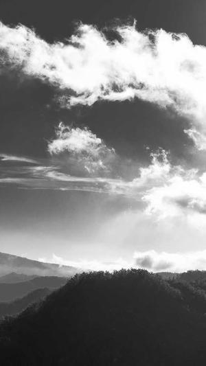 google seo工具截图2