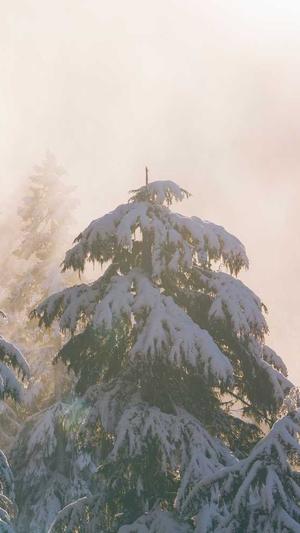 seo的诊断工具截图5