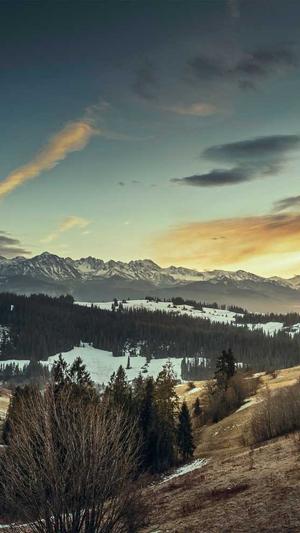 seo流量查询工具截图1