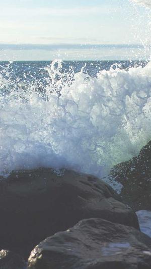 陈默蜘蛛池出租截图2