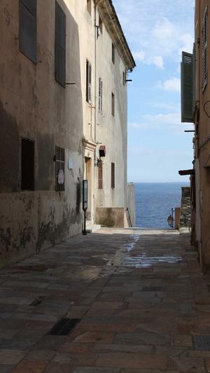 蜘蛛池租用服务找哪家截图5