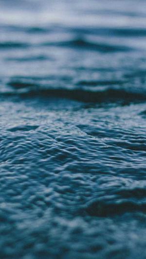 河南网站建设截图2