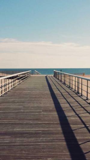 泛目录整站代做截图2