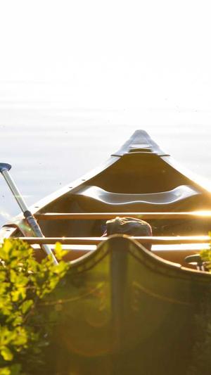 聚合泛目录3.0站群截图3