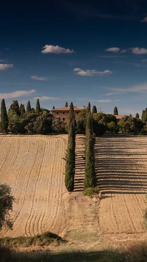 seo的优化方法截图1