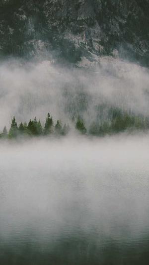 seo百度快排工具运营截图1