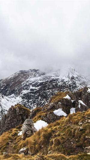 小旋风蜘蛛池教程视频截图1
