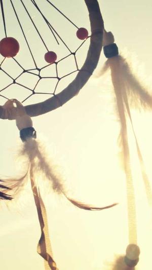 专业网站建设开发截图4