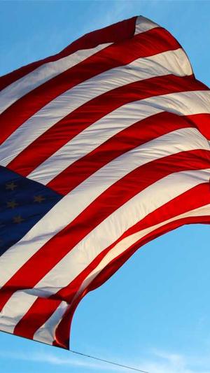 网站建设案例截图4