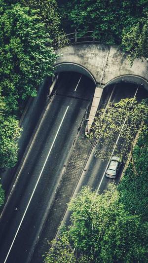 小旋风蜘蛛池教程视频截图3