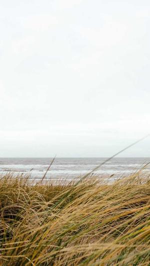 西安seo服务截图3