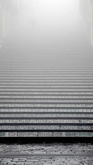 最新蜘蛛池链接截图2