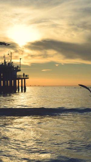 谷歌seo关键词工具截图4