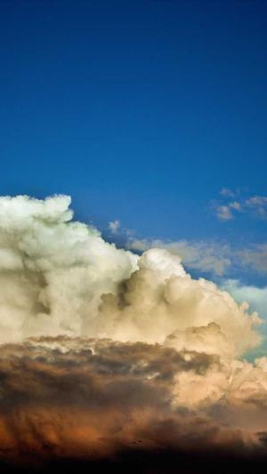 seo优化学习截图2