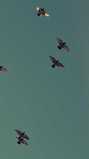 辽宁省建设厅网站截图4