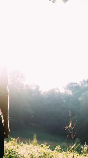 seo蜘蛛池怎么优化截图3