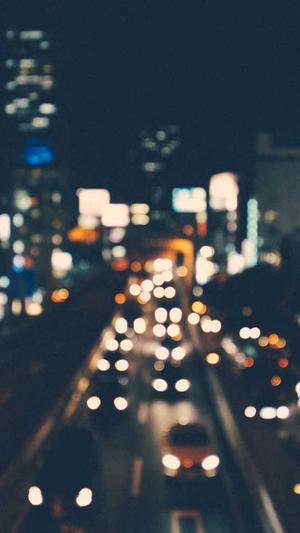 泛目录站群项目截图3