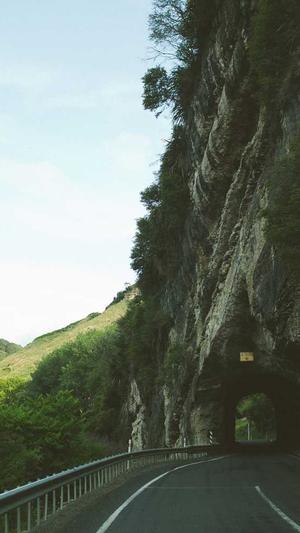 google seo工具截图1