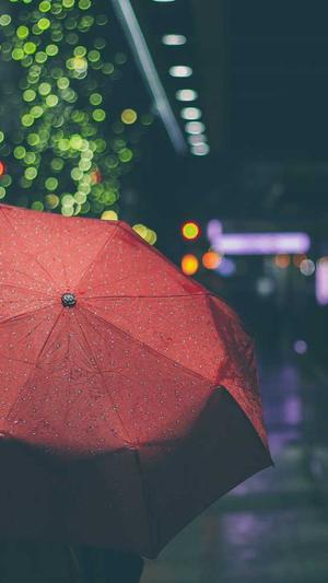 深圳建设网站制作截图2