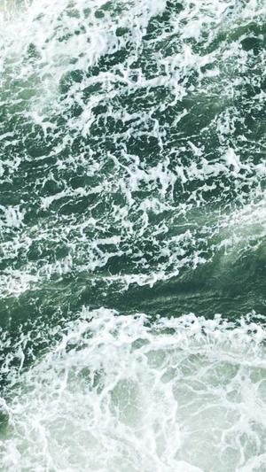 seo网站系统截图3