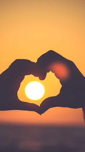 上海网站建设截图3