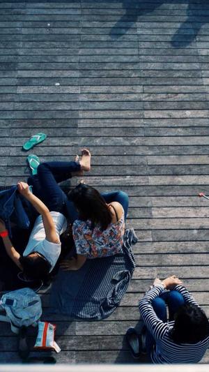 小旋风蜘蛛池程序截图1