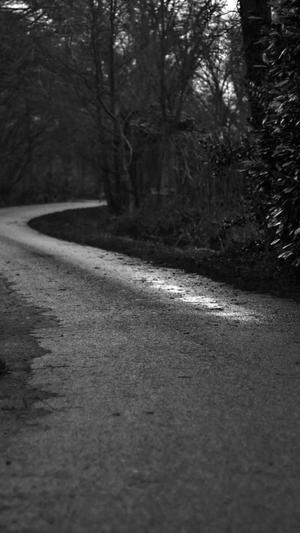 上海品牌网站建设公司截图5