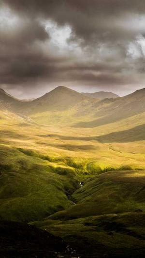 快速seo优化工具截图1