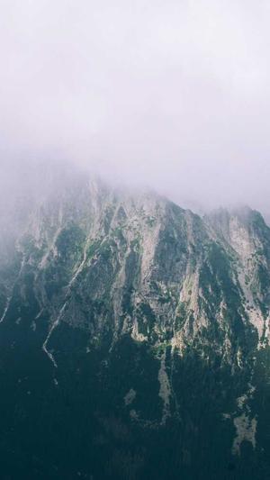 seo营销工具截图1