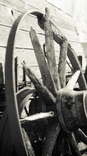 seo排名工具佳选截图5