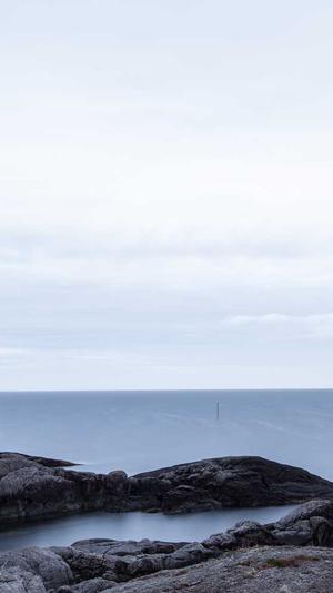 关于seo优化截图2