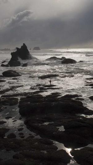 seo服务赚钱截图5