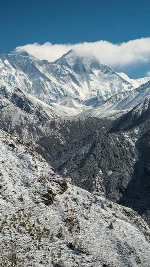 如何利用蜘蛛池钓鱼截图4