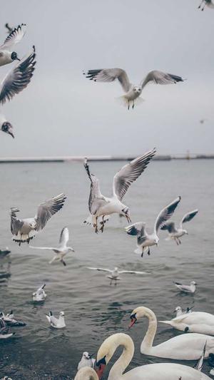 渭南网站建设截图4