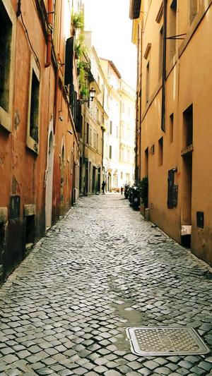 seo优化建议站长工具截图4