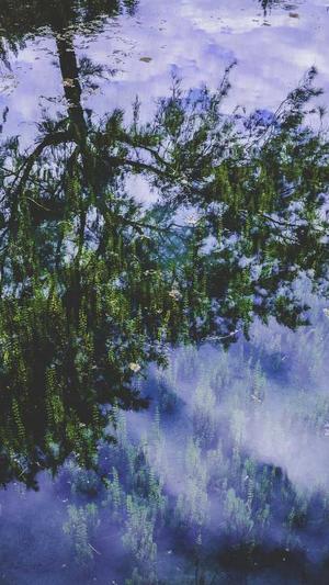 蜘蛛池 长尾词排名截图1