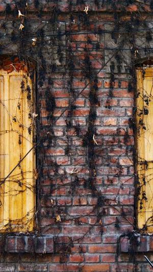 网站建设的论坛截图2