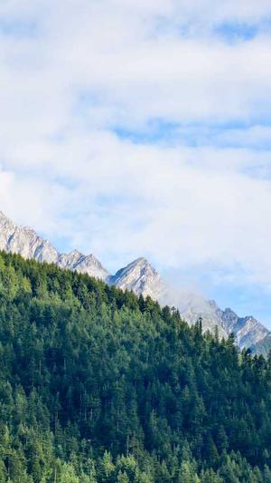 seo工具必备截图4