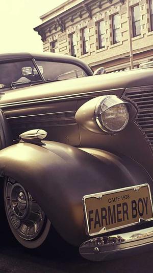 超级蜘蛛池引蜘蛛软件截图4