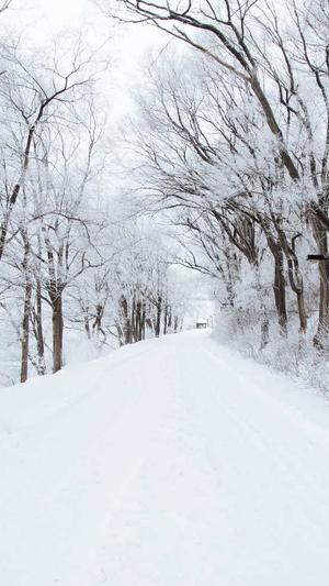 seo系统培训班截图3