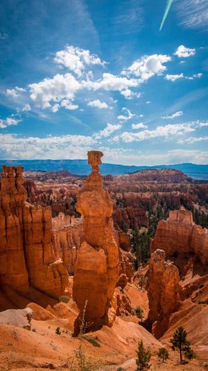 seo蜘蛛池怎么优化截图4