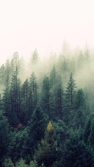 seo泛目录教程截图4