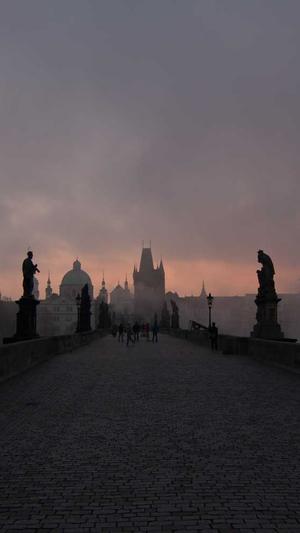 站长seo工具包截图3