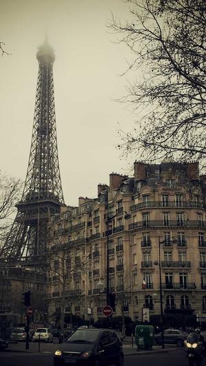 seo诊断工具大全截图2