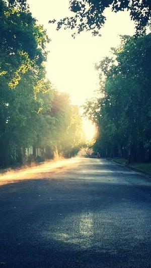 网站建设知识截图5