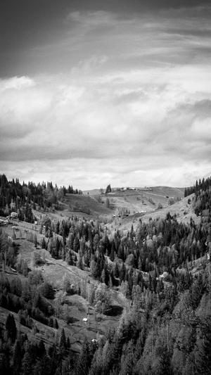 菏泽seo优化截图2