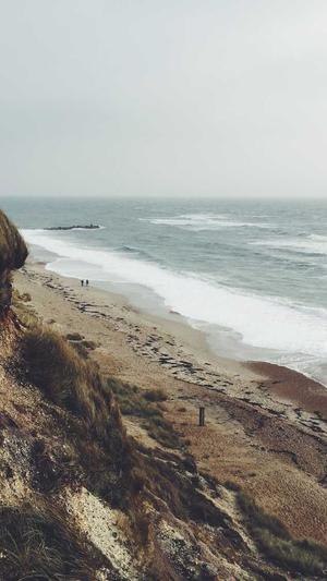 最新蜘蛛池链接截图3