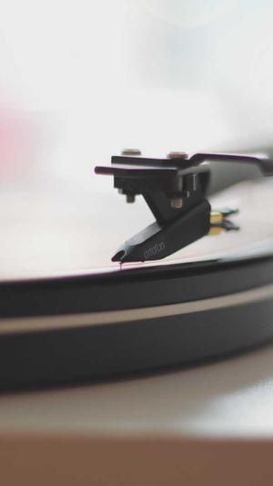 seo优化技术截图3